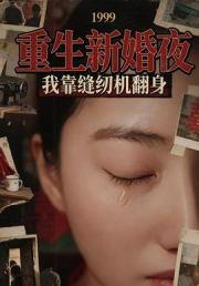 重生新婚夜：我靠缝纫机翻身